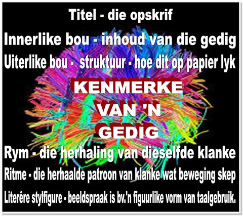 14095960_10206759400813145_3326601583197804401_n