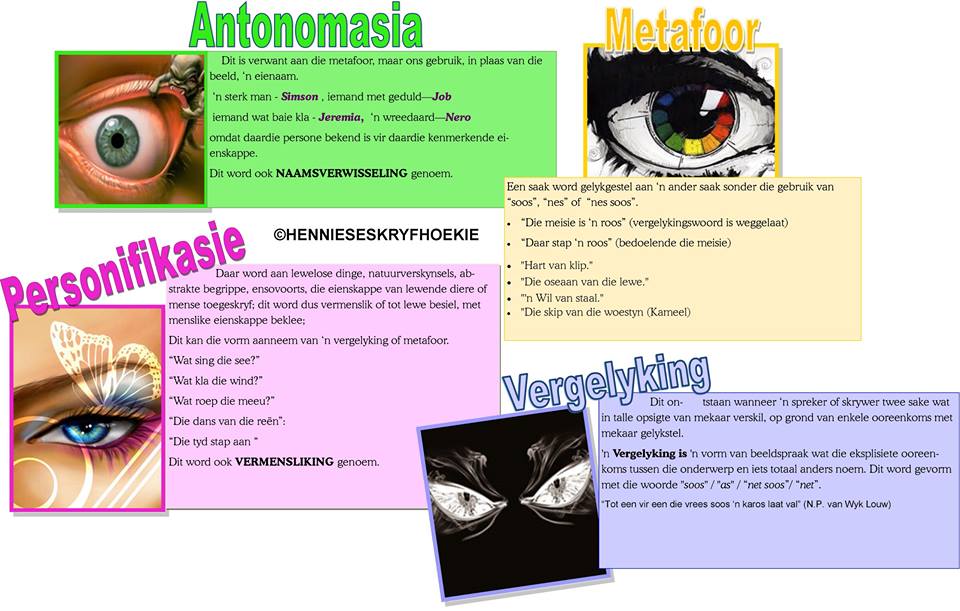 14212712_10206775570577379_5072263457973604814_n