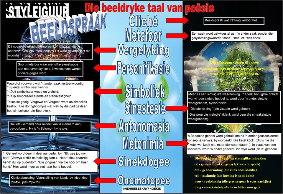 14222183_10206776329516352_5401291950376083669_n