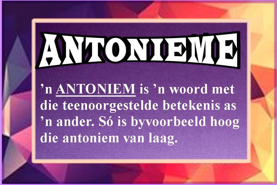 17458041_1605822132780113_1659822952490722089_n (2)