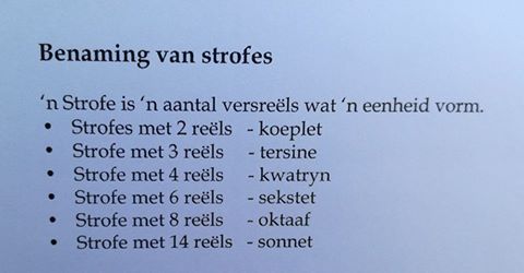 18950968_10213127493444842_2636033076317988959_n