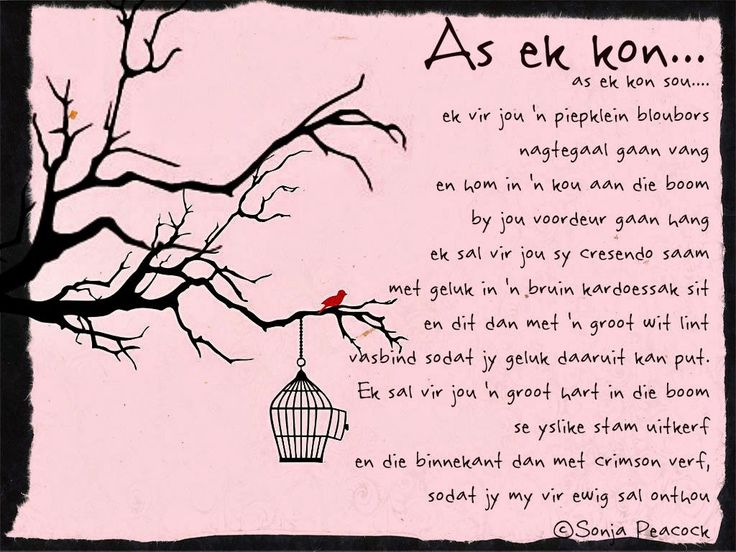 dfb3d82d7e5dd0a5868182dac30b79cd (2)