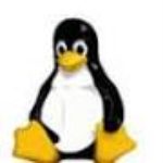 Profiel foto van Pikkewyn