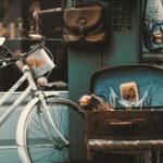 Profiel foto van Wilma